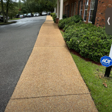 Window-and-Driveway-Cleaning 0